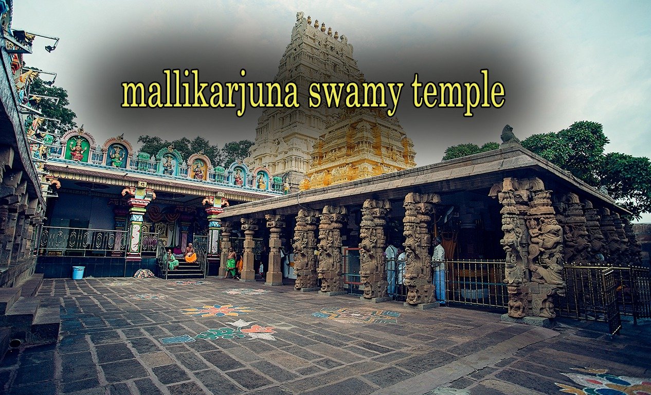 MALLIKARJUNA Image